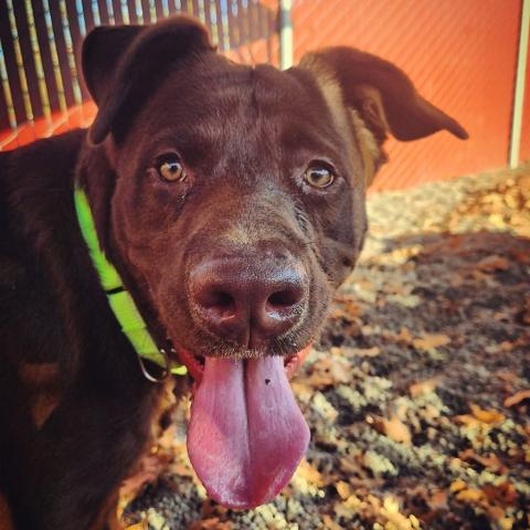 Photo for 152117 [Reese]