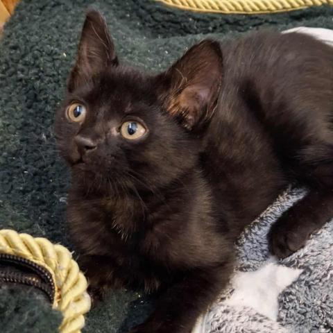 Photo for 152179 [Allen]