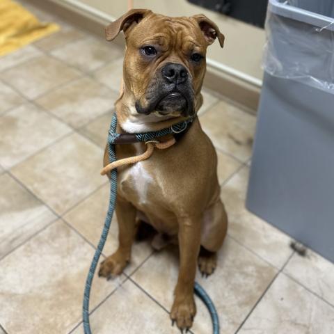 Photo for 152219 [Frogger]