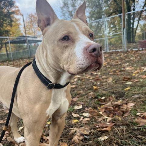 Photo for 152230 [Mac daddy]