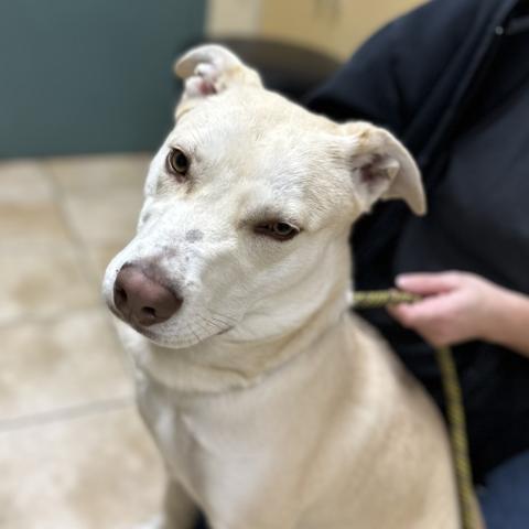 Photo for 152261 [Bernie]