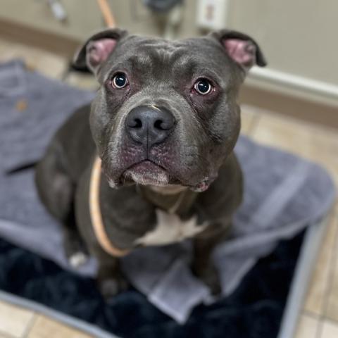 Photo for 152267 [Gerald]