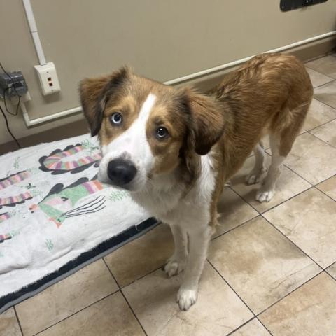 Photo for 152302 [Samus]