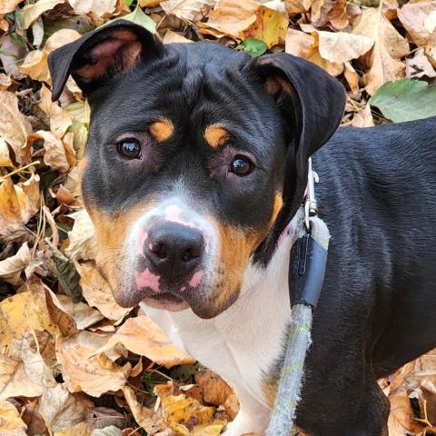 Photo for 152325 [Marsha]