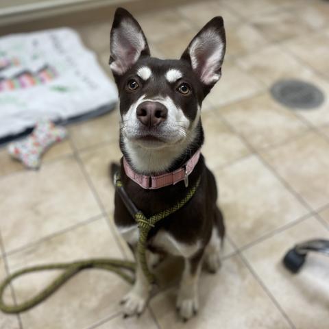 Photo for 152352 [Suzuki]