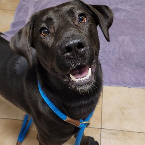 Photo for 152376 [Zoey]