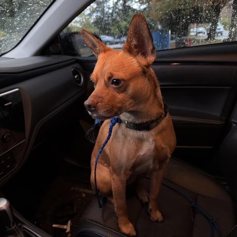 Photo for 152456 [fr152456]