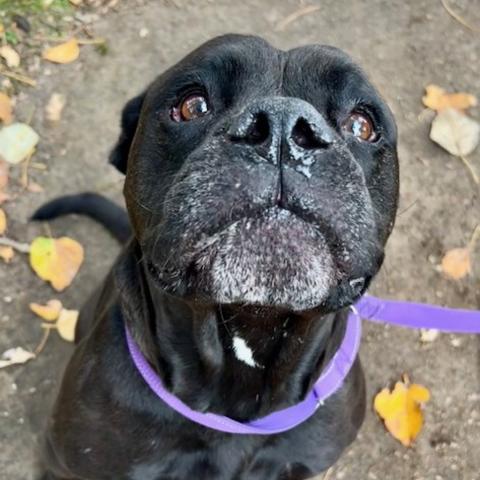 Photo for 152467 [Mugz]