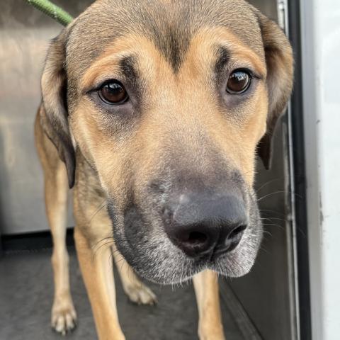 Photo for 152525 [River Deep]