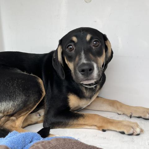 Photo for 152529 [Proud Mary]