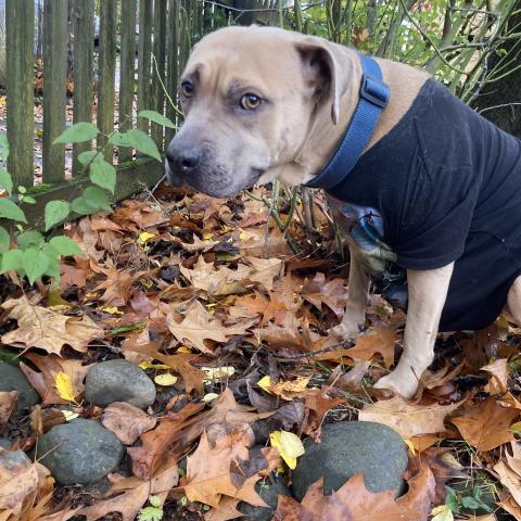 Photo for 152562 [fr152562]