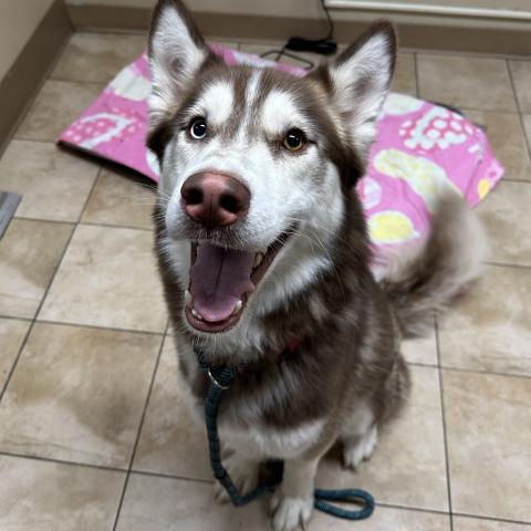 Photo for 152682 [Skater]