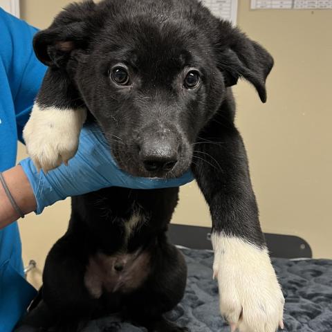 Photo for 152684 [Greed]