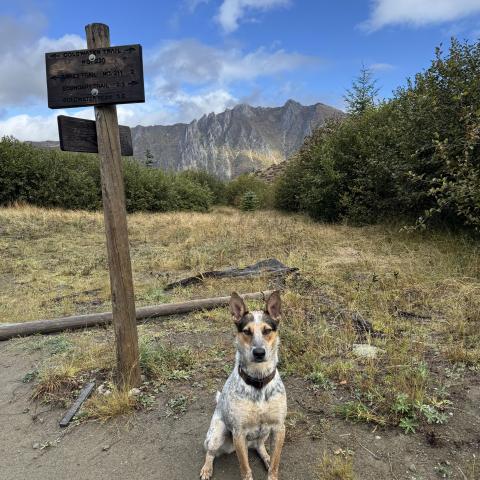 Photo for 152722 [Ouigi]