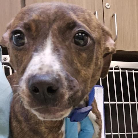 Photo for 152755 [Blink]