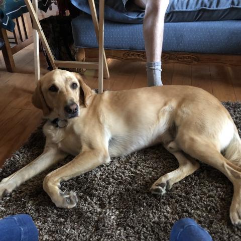 Photo for 152760 [Buzz]