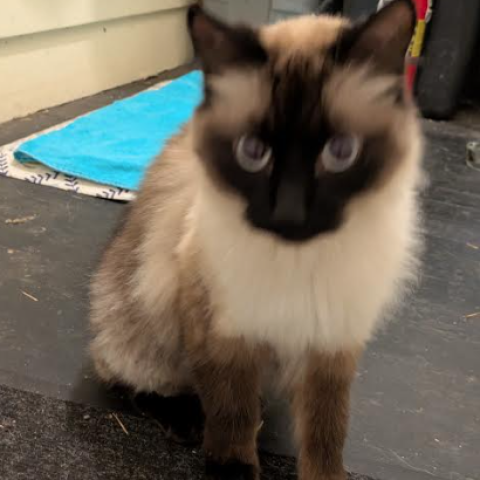 Photo for 152804 [unknown]