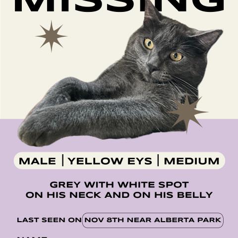 Photo for 152849 [Marble]