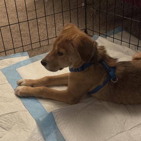 Photo for 152851 [fr152851]