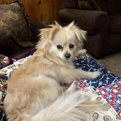 Photo for 152857 [Bella]