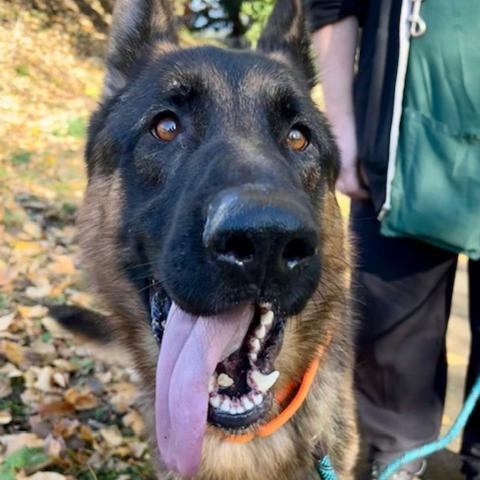 Photo for 152890 [John]