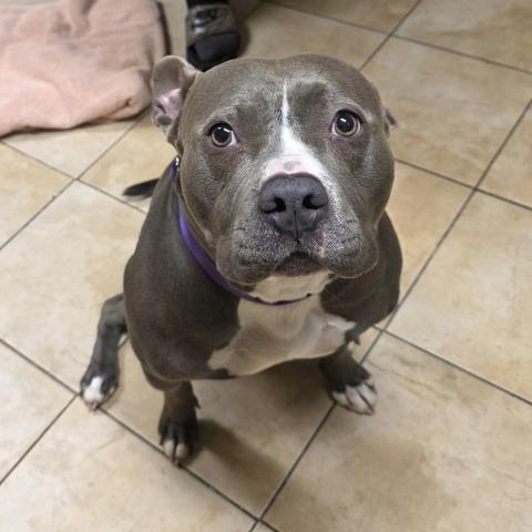 Photo for 152895 [Baby]