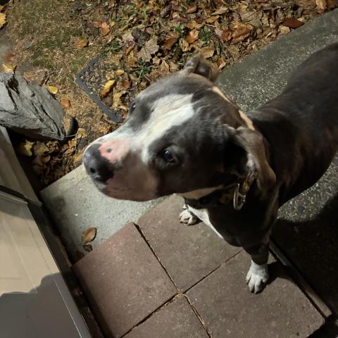 Photo for 152943 [Unknown]