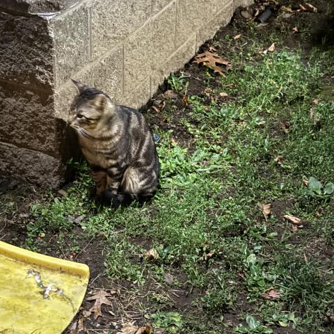 Photo for 152947 [Unknown]