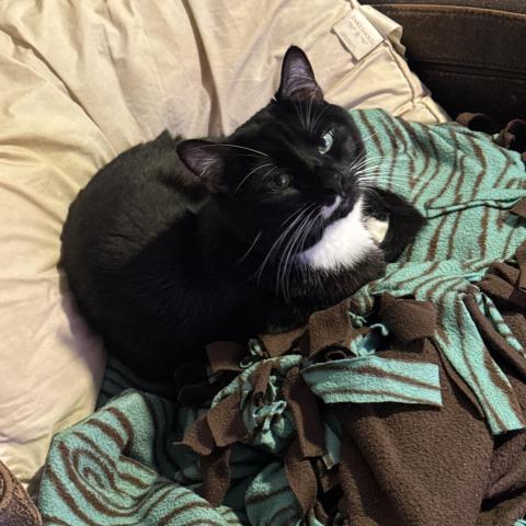 Photo for 152963 [Willis/Rallo]