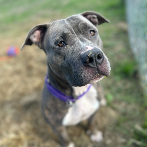 Photo for 152981 [Seyla]