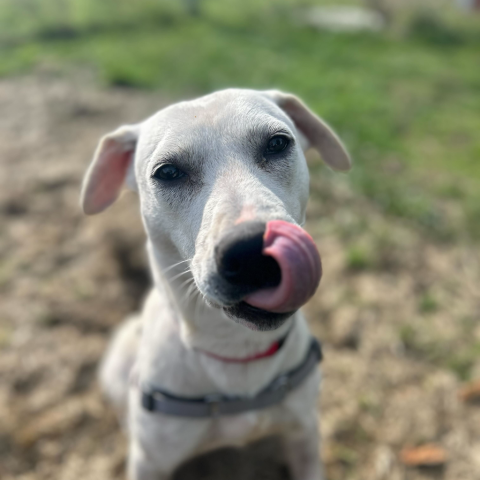 Photo for 152983 [Tamara]