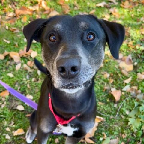 Photo for 152999 [Hopps]