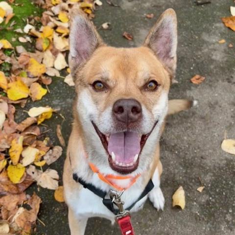 Photo for 153005 [Thornton]