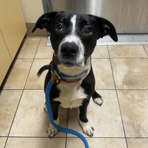 Photo for 153009 [Melody]