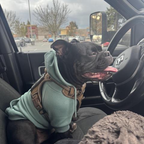 Photo for 153065 [Biggy]