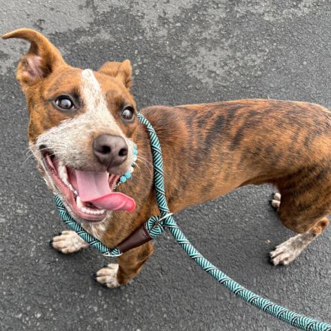 Photo for 153081 [Baker]