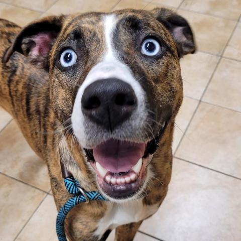 Photo for 153097 [Laney]