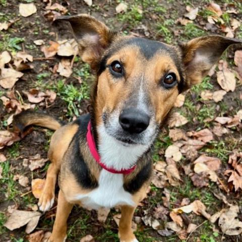 Photo for 153114 [Daisy]