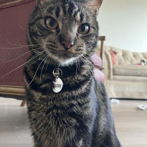 Photo for 153132 [Mackey]