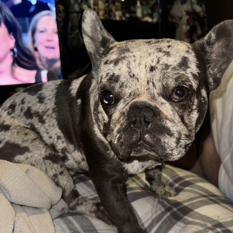 Photo for 153134 [Astro]