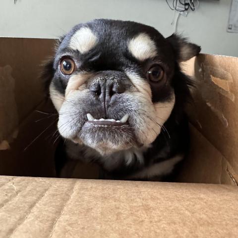 Photo for 153136 [Astra]