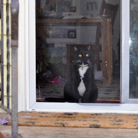 Photo for 153160 [Neo]