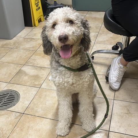 Photo for 153193 [Betty]