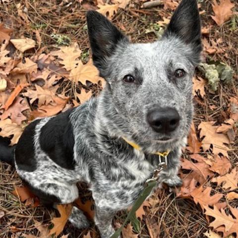 Photo for 153310 [November]