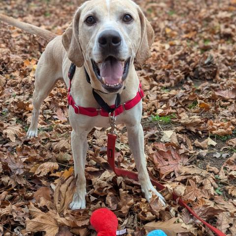 Photo for 153320 [Sam]