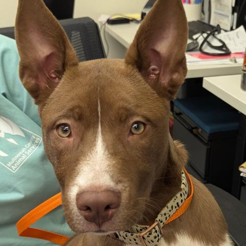 Photo for 153354 [Fomo]