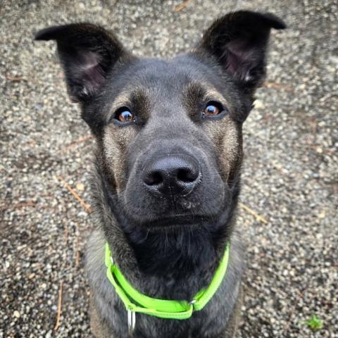 Photo for 153365 [Winnie]