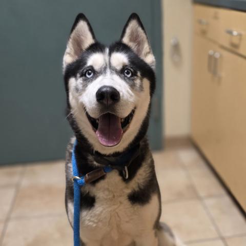 Photo for 153413 [Zaza]