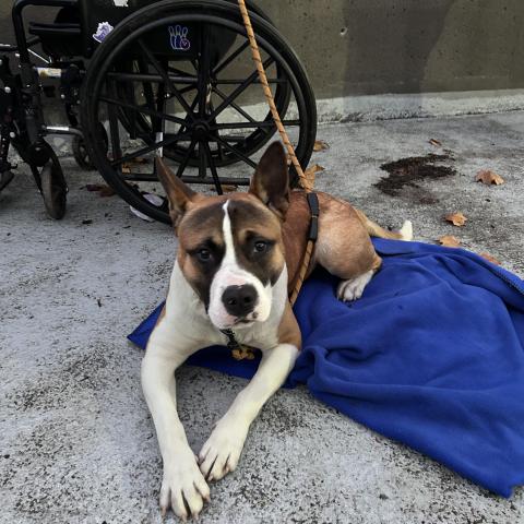 Photo for 153497 [fr153497]