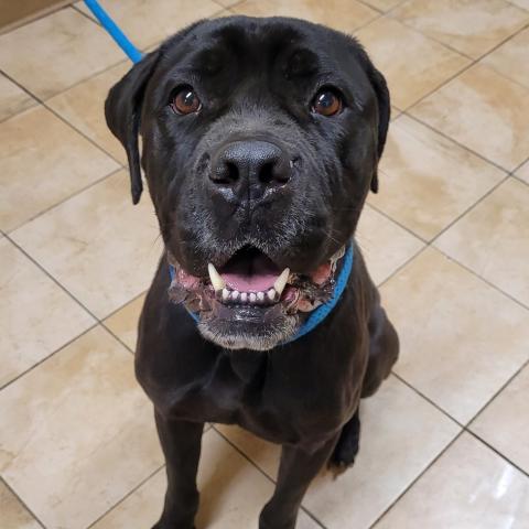 Photo for 153612 [Keelah]